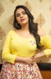 Sreemukhi photo