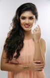 Gayathri Suresh photo