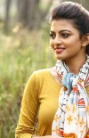 Anandhi photo