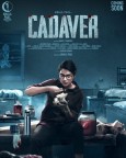 Cadaver