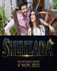 Shehzada