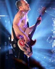 Flea