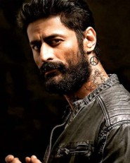 Mohit Raina