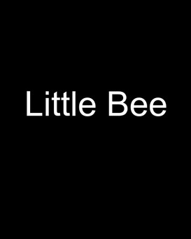 Little Bee