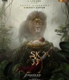 SK 33 photo
