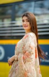 Hassini Sudhir photo